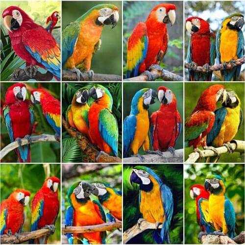 MomoArt Diamond Embroidery Parrot Needlework Diamond Painting Bird Cross Stitch Kits Mosaic Animal Full Drill Square Wall Decor