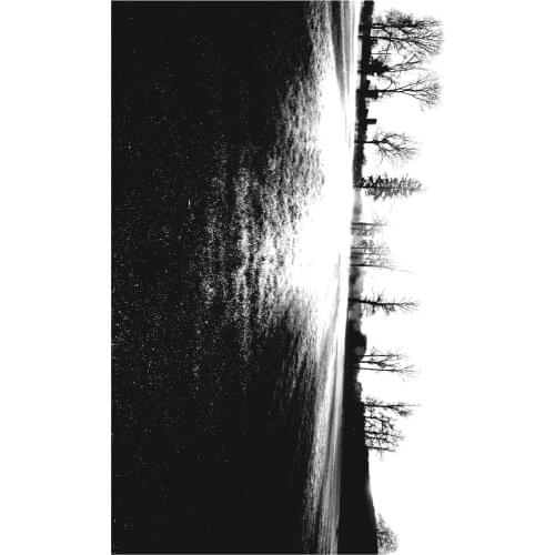 Background Clear Stamp for Scrapbooking Transparent Silicone Rubber DIY Photo Album Decor 699