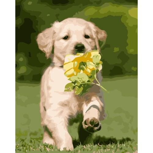 MaHuaf-i649 A puppy holding a flower on the grass DIY painting by Numbers dog animal Hand-painted canvas digital oil paintings