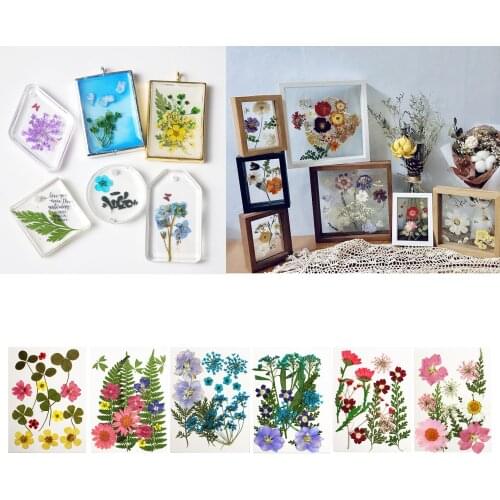 13x Pressed Dried Flowers Leaves for DIY Arts Crafts Resin Jewelry Making Tools