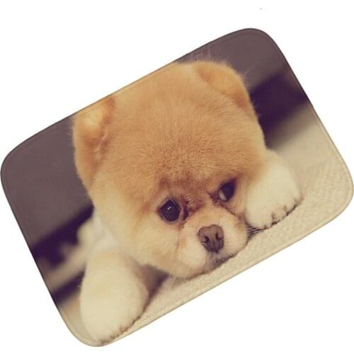New Animal Dog Doormat Home Decor Floor Door Mat Non-Slip Soft Flannel Carpet for Hallway kitchen Room
