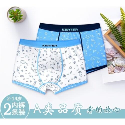 Phynier Cartoon panties baby underwear boy quadrupers children briefs shorts