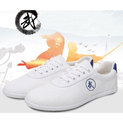 Hot Canvas Tai Chi Tendon Boots Good Quality Martial Arts Shoes Soft Bottom Practice Kung Fu Shoes Wingchun Shoes