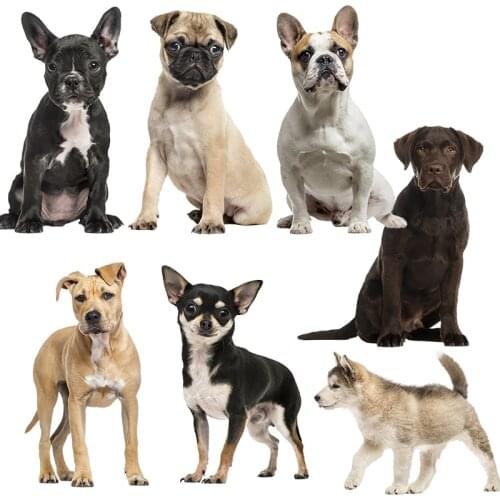 Three Ratels QC388 HD pixel dog sticker Waterproof Vinyl auto Wrap for car hood laptop home decora decals