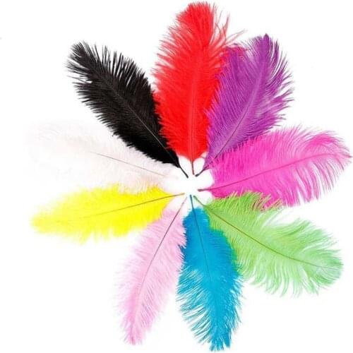 100 pcs Lilac 14 Cm Feather Bird Brigadier henna Night Wedding Candy Decoration Material хна для мехенди henna bride veil welon