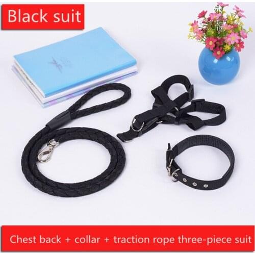Fashion Leash Collar Pet Leads Belt Adjustable Traction Rope Walking Harness Chest Strap Dog leash Pet supplies