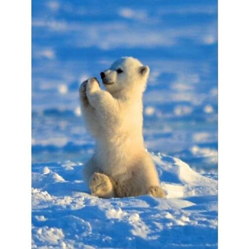 YIKEE diamond painting Polar bear,diamond painting full square new arrival,embroidery diamond diamond mosaic K722