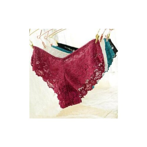 Plus size XL,XXL,XXXL 5pcs/lot women sexy lace underwear sexy lingerie lace briefs underwear panties excellent quality