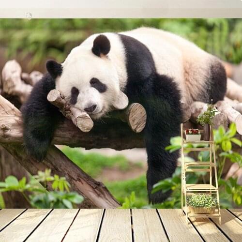 Custom Any Size Murals Wall Sticker Cute Panda Sleeping Photo Wallpaper Living Room Bedroom TV Backdrop Fresco 3D Papier Peint