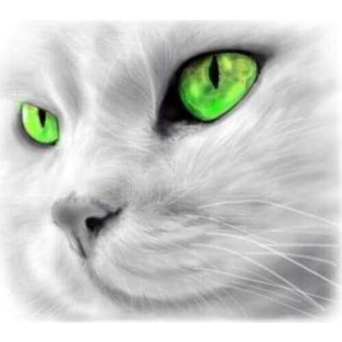 GLymg Full Drill Rhinestones Embroidery 5d Diamond Painting Embroidery Diy Diamond Embroidery Emerald Eyes Cat Wall Arts Decor