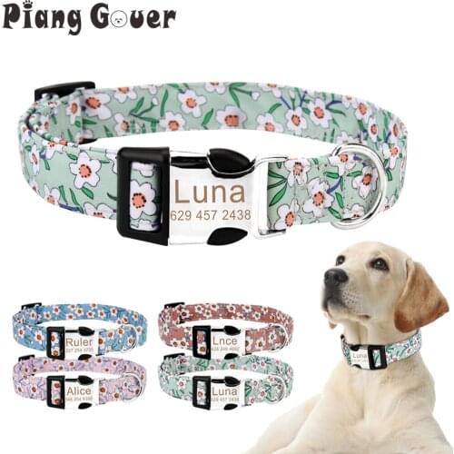 Piang Gouer Collars