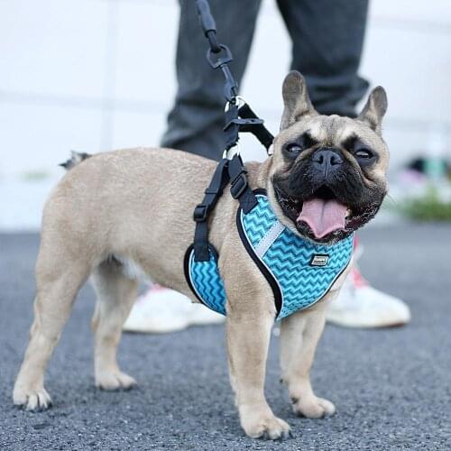 Surepet Dog Harnesses with Leash for Small Medium Dogs No Pull Adjustable,Reflective