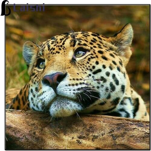 5D Diy Diamond Painting New Square Cute Panther Diamond Embroidery animal Sale Pictures With Rhinestones Hobby And Handicraft