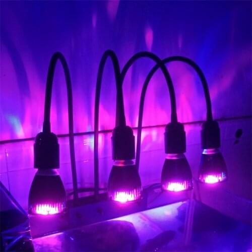 DHUASOURCE Plant Lamps