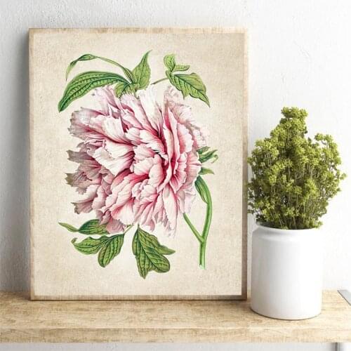 Vintage Pink Peony Botanical Flower Prints Kitchen Wall Decor , Retro Plants Wall Art Pictures Painting Living Room Decor