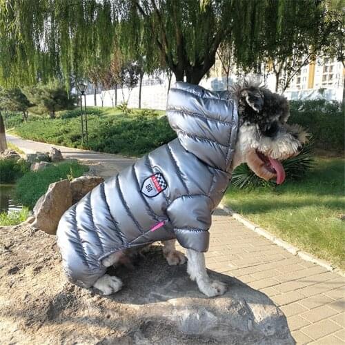 CoolPaw Costumes For Dogs