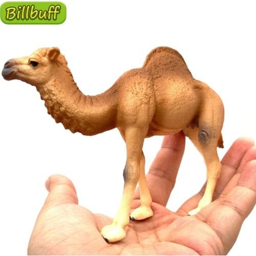 2021 Simulation Wilds Animals ABS Solid Camel Models Action Figures Learning Collection Dolls Educational Toys for Children Gift
