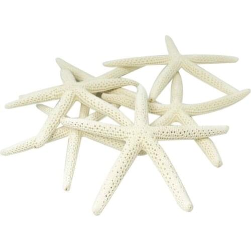 12PCS White Finger Starfish 5-10cm Decorative five-finger starfish