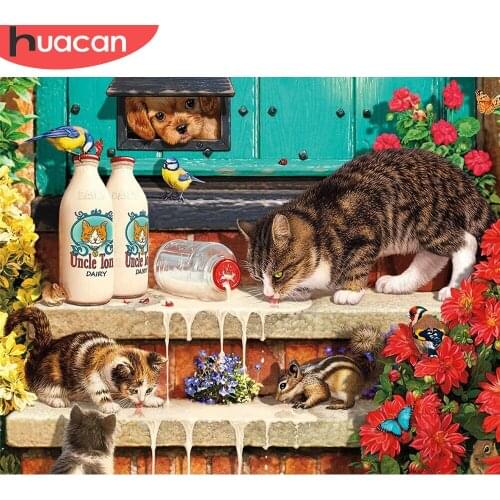 HUACAN Oil Painting By Number Cat Animal Kits For Adults Handpainted DIY Coloring By Number Flower On Canvas Home Decor Gift