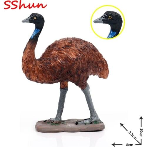 Simulation solid wild animal ostrich model African ostrich static model childrens toy decoration