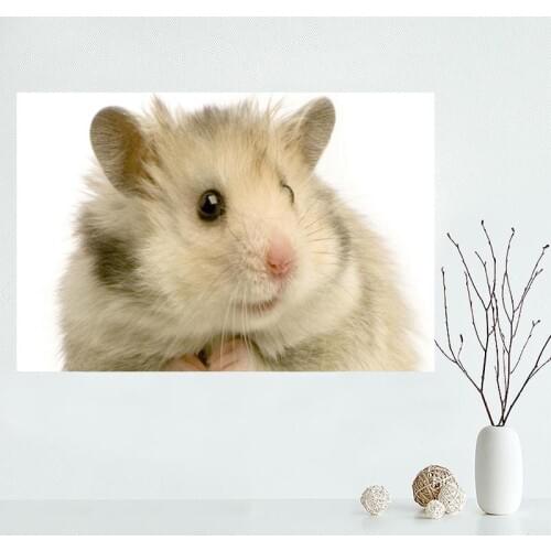 New Products 2020 Hamster Wall Art Canvas Posters And Prints Wall Pictures For Living Room Children Kids Bedroom Decor