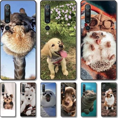 Cute animals Phone Case For Xiaomi MI 11 10 9 5g Lite Ultra Pro Note S Black Shell Cover