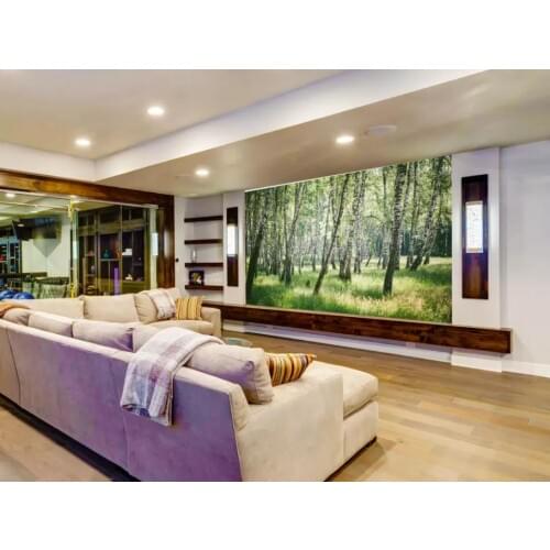 The sun shines in the woods mural 3d wallpaper 3d wall papers for tv backdrop