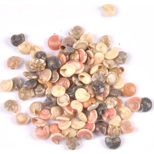 100pcs Natural Mini Spiral Shell Beads Nonporous beads for Hand decorated home furnishings and aquarium accessories