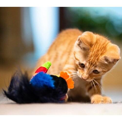 Pet Toys Cute Parrot Hedgehog Long Billed Bird Shape Plush Sound Toy Soft Bite-resistant Interesting Chew Toys Pet Supplies
