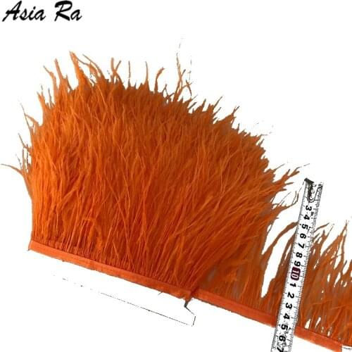 Hot 10meters 10-15CM Top high quality real colored ostrich feather trims for skirt/dress/costume feathers ribbon plumes trimming