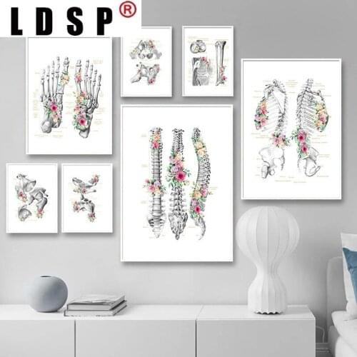 LDSP Human Anatomy Skeleton Bone Structure Education Canvas Painting Wall Art Print Poster Picture Modern Living Room Home Decor