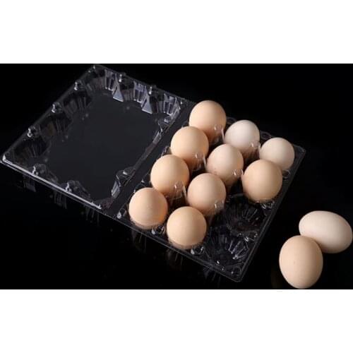 12 Holes 193*147*63mm Quail Eggs Container Plastic Clear Egg Packing Storage Boxes Wholesale DHL Free Shipping SN3211