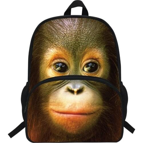 Школьные рюкзаки для мальчиков BULEFLYER China At AliExpress