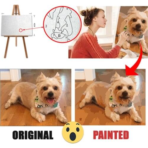 Personality Photo Customized DIY Painting By Numbers Picture Drawing Coloring by Numbers Acrylic cat adult with frame
