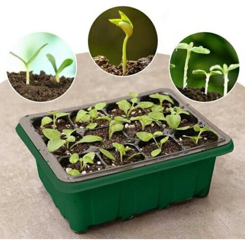 12 Hole PET Seedling Trays Cells Plant Flower Seedling Trays Office Nursery Greening Project Home Gardening Seedling Trays Tools