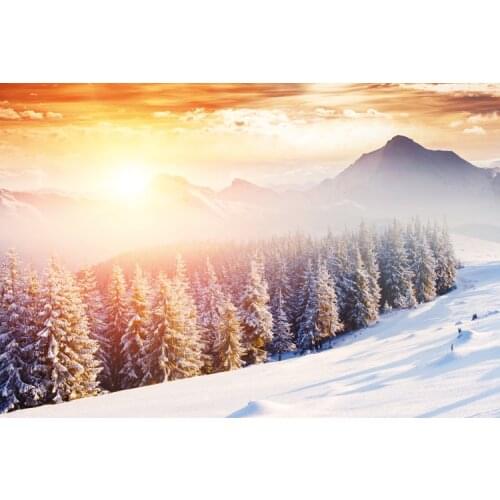 Snow sunshine The wooden puzzle 1000 pieces ersion paper jigsaw puzzle white card adult childrens educational toys