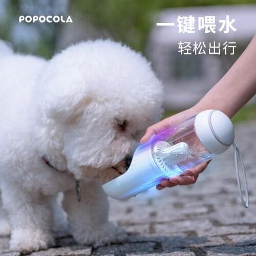 Pet Dog Outdoor Water Bottle Portable Accompanying Water Cup With Filter