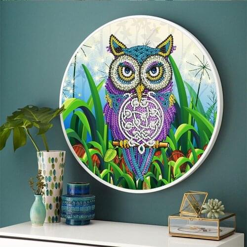 Round Diy Diamond Painting Framed Wall Art Owl Picture Small Size Special Shaped Diamond Mosaic Rhinestones Artwork Hanging Wall