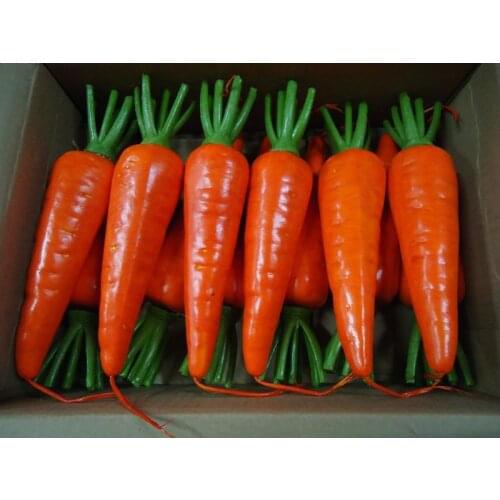 5pcs plastic unisex toy Model Of Carrot False Homeware Simulation Play Toys Fruit And Vegetable Food Finished Goods
