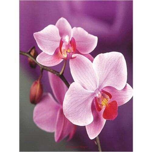 Counted Cross Stitch Kits Needlework Embroidery - Crafts 14 ct Aida DMC Color DIY Arts Handmade Home Decor -Pink Orchids 2