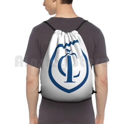 Ithaca College Sticker / Shirt Backpack Drawstring Bag Riding Climbing Gym Bag University School College Frat Fraternity
