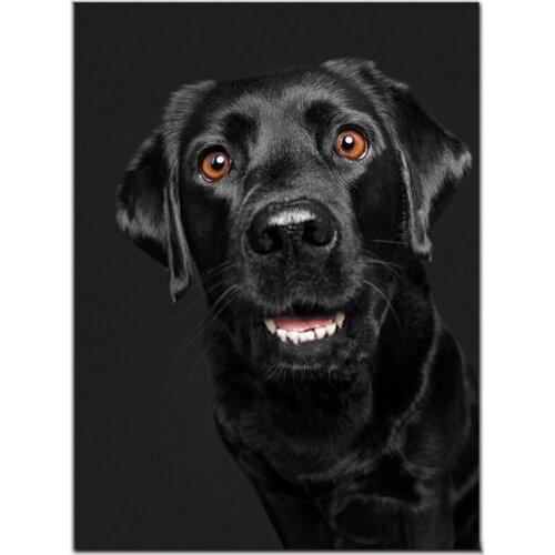 New DIY Diamond Painting Dog Black Labrador Retriever Animal Home Art Cross Stitch Full Diamond Embroidery Decor