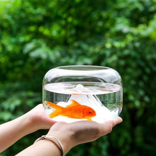 Mini Glass Creative Transparent Fish Bowl Snow Mountain Fish Tanks Desktop Micro Landscape Fish Jar Aquariums Pet Supplies