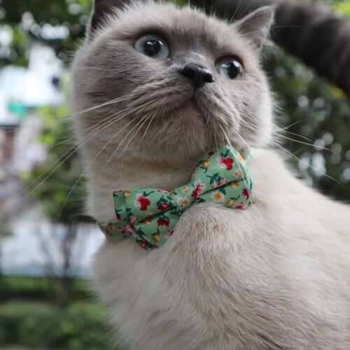 Animal Pet Cat Accessories Kittens Removable Bowknot Puppy Collar Lovely Flowers Pattern Cats Collar Necklaces Supplies for Cats