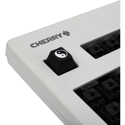 Tai Ji Custom R4 R1 PBT Keycaps Cherry Mx Profile For Mechanical Keyboard Esc F1 1u Artisan Keycap For GK61 SK64 RK87 GH60 Gamer