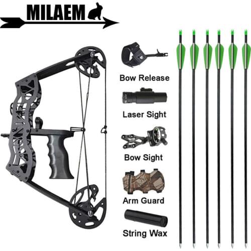 16inch Archery Mini Compound Bow Set 35lbs 23inch Aluminum Arrow Bowfishing Hunting Right Left Hand Shooting Accessories