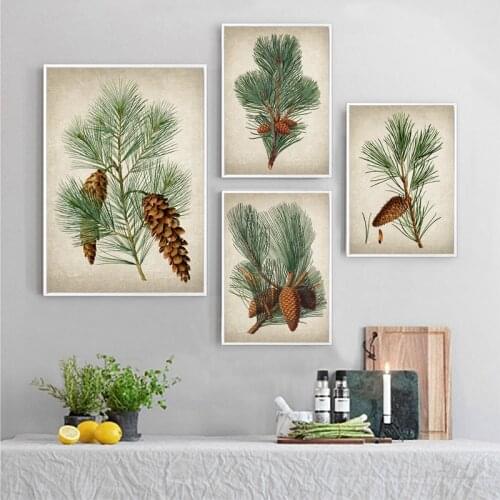 Pine Plant Vintage Illustrations Posters and Prints Evergreen Pine Cones Botanical Plants Wall Art Retro poster kraft paper