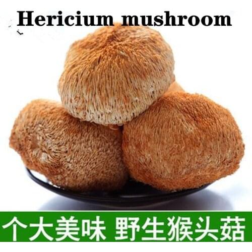 250g-1000g Pure Wild Dried Mushrooms / Nourishing Stomach / Farmers Specialties / Increase Appetite / Free Shipping