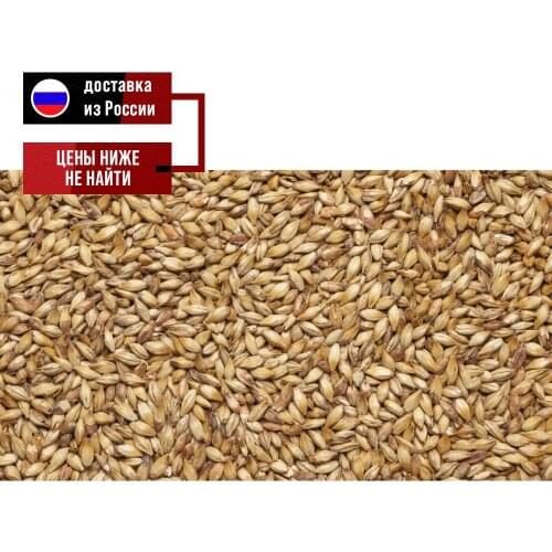 Sufle Equipment For Brewing And Winemaking