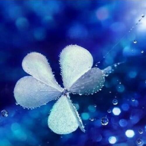 Square/Round Diamond 5D DIY Diamond Painting "Four Leaf Clover" Embroidery Cross Stitch Mosaic Home Decoration Lucky Gift